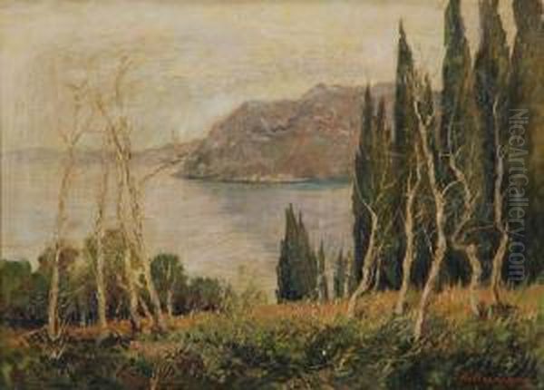 Sul Lago Maggiore - view 1