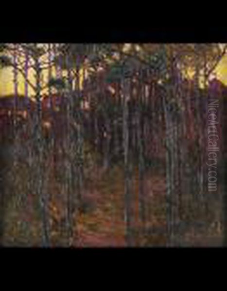 La Pineta Al Tramonto - view 1