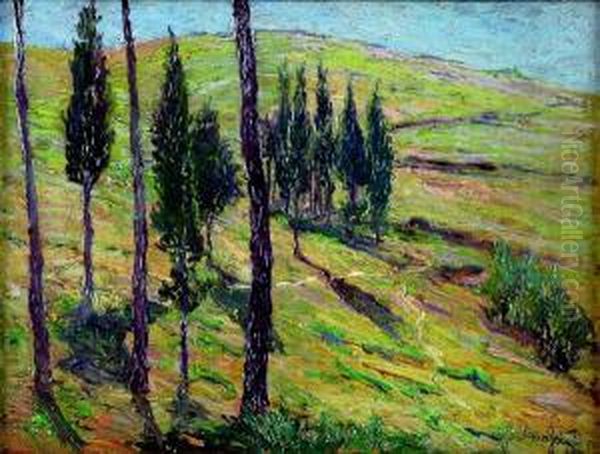 Paesaggio - view 1