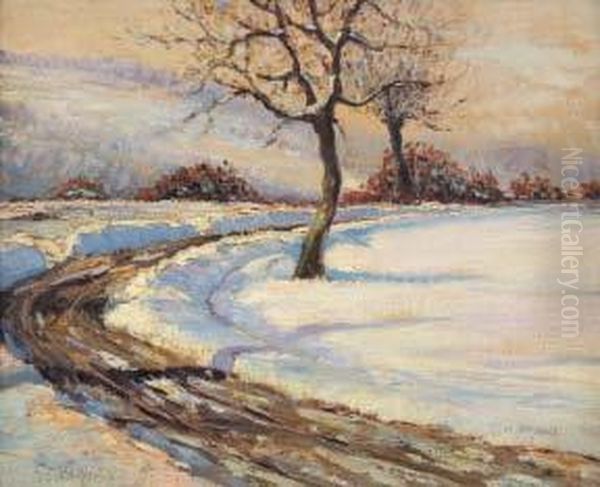 Paesaggio Innevato - view 1