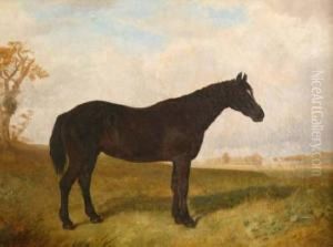 Black Horse In A Landscape With Country Housebeyond by James Walsham Baldock
