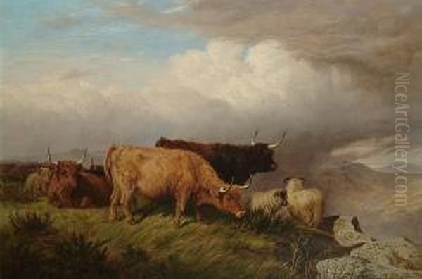 Highland Cattle And Sheep In A Landscape - view 1