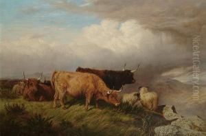 Highland Cattle And Sheep In A Landscape by James Walsham Baldock