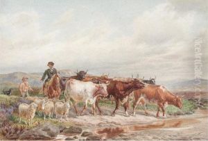 Driving Home The Herd Driving Home The Herd