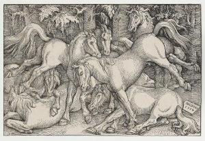 Group Of Seven Wild Horses by Hans Baldung Grien