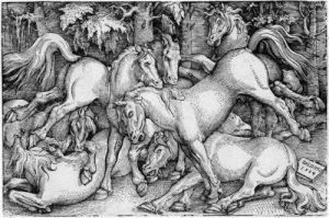 Die Sieben Pferde by Hans Baldung Grien