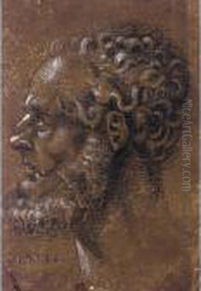 Head Of A Bearded Man, Seen In Profile - view 1