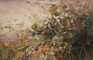 Sparrows And A Chaffinch Amongstbrambles