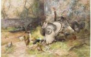Turkeys And Chickens In Courtyard by Charles Henry C. Baldwyn