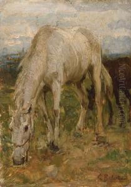 Cavallo - view 1