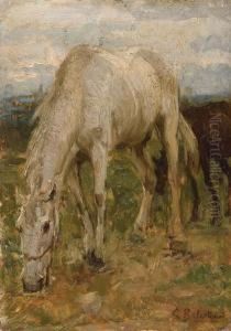 Cavallo by Carlo Balestrini
