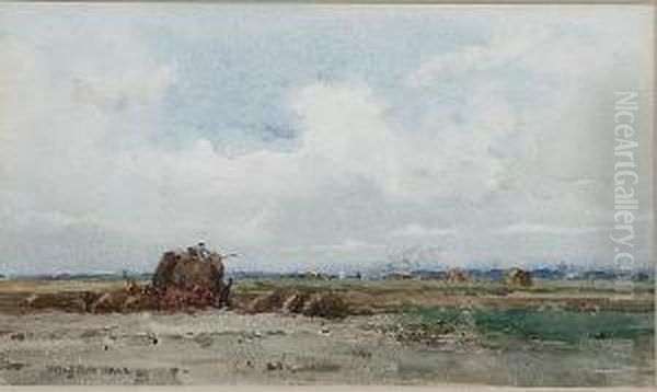 Near Amsterdam - view 1