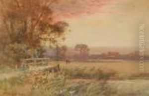 Extensive Landscape At Sunset