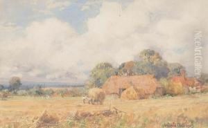 'tripp Hill, Fittleworth' 'tripp Hill, Fittleworth'