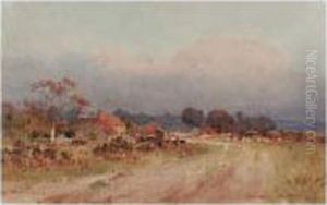 Hankley Common, Surrey