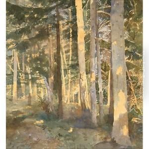 Tramonto Nel Bosco by Enea Ballarini