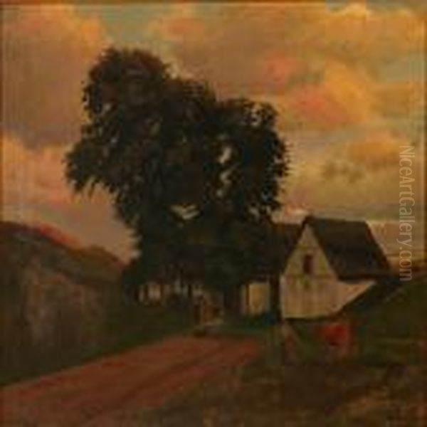 Evening Sun At A Farm - view 1