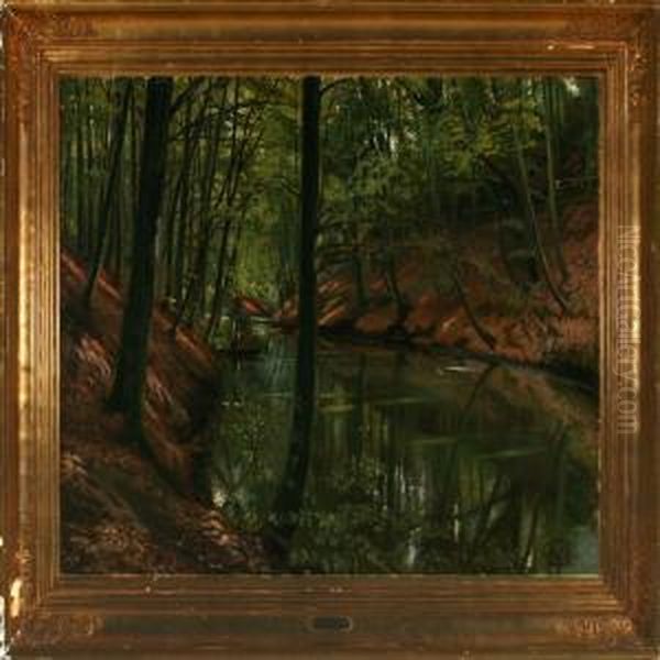 Landscape - view 1