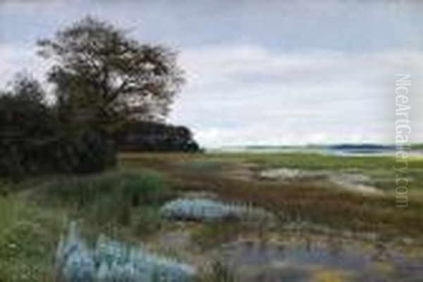 Sjolandskap - view 1