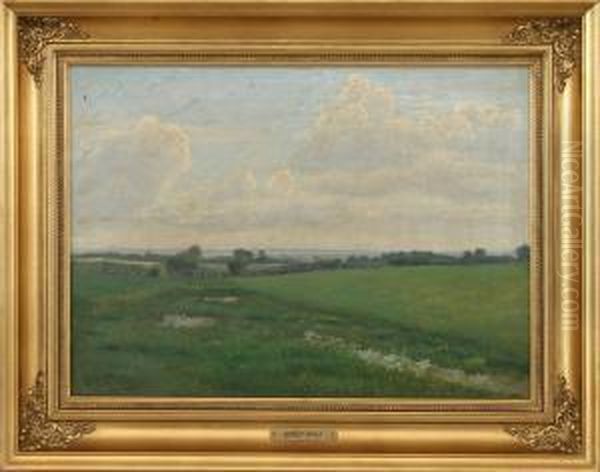 Solbraemmende Skyer Over Storlingeegnen - view 1