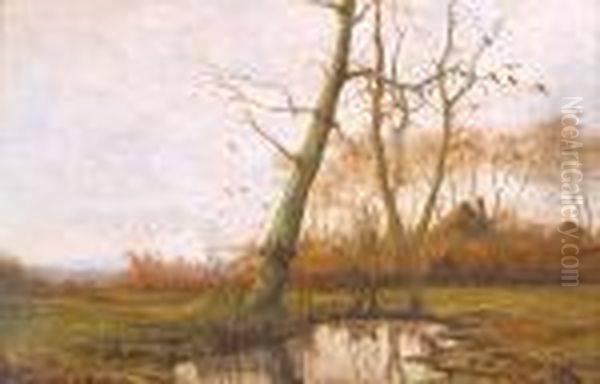 Herfstlandschap - view 1