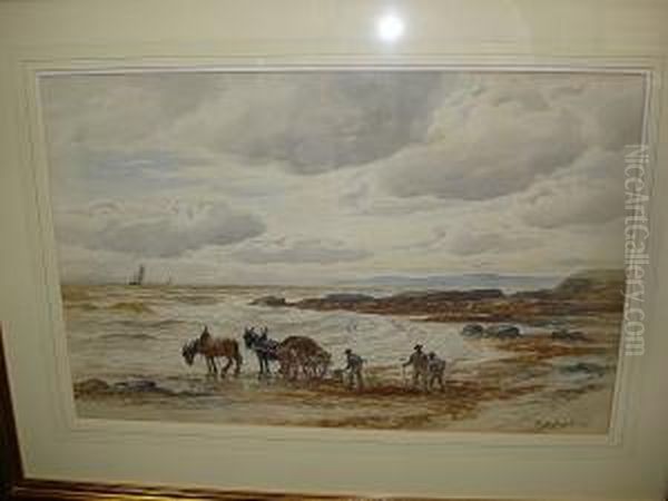 Gathering Seaweed - view 1