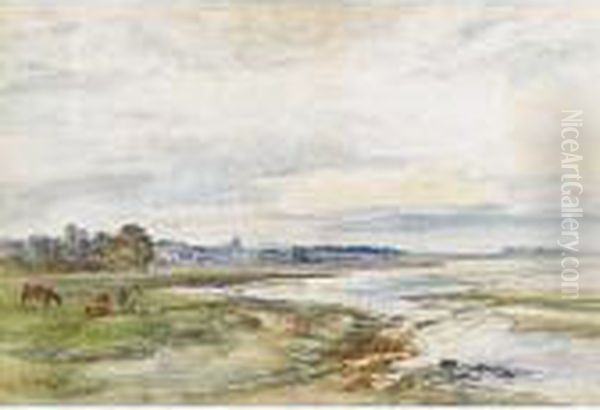 Evening At Aberlady - view 1