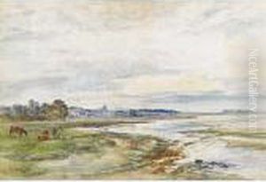 Evening At Aberlady