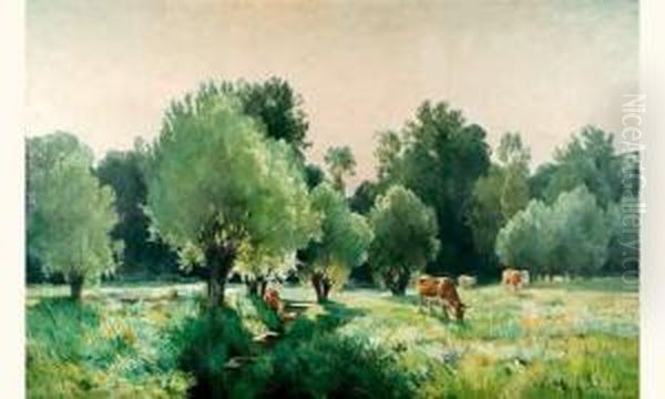 La Saulaie Le Long Du Ruisseau, Effet De Lumiere Matinale - view 1