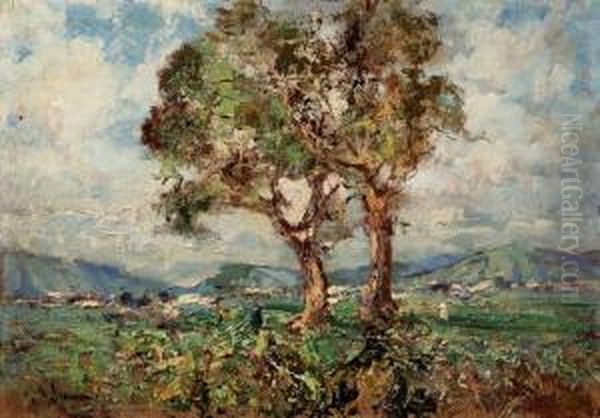 Paesaggio - view 1