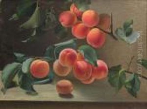 Nature Morte Aux Peches