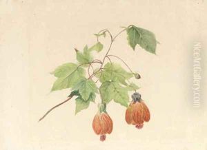 A study of a Chinese bell flower by Geraldine Jacoba Van De Sande Bakhuyzen
