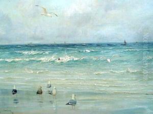 Seagulls on the Foreshore