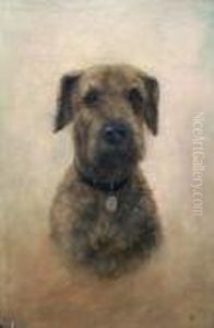 The Head Of A Terrier, Thought To Be An Irish Terrier