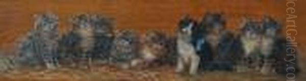Nine Kittens Seated In A Row, And Another, Seven Kittens - view 1