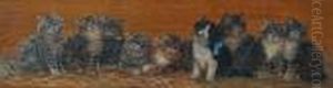 Nine Kittens Seated In A Row, And Another, Seven Kittens by Bessie, Betsie Bamber