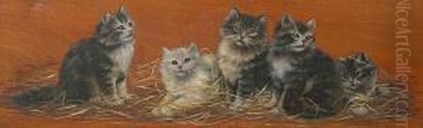 Five Kittens - view 1