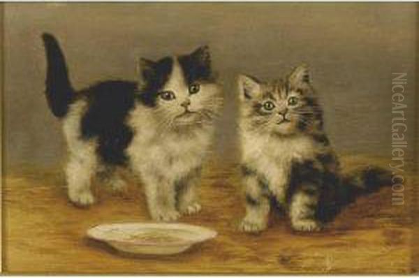 Two Kittens And Bowl Tea Time - view 1