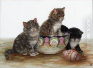 Kittens by Bessie, Betsie Bamber