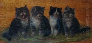 Kittens