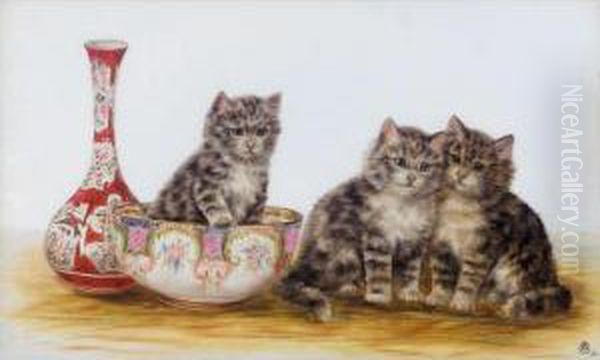 Kittens - view 1