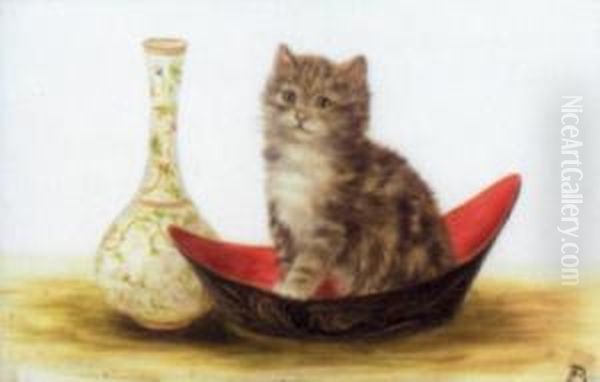 Kitten - view 1