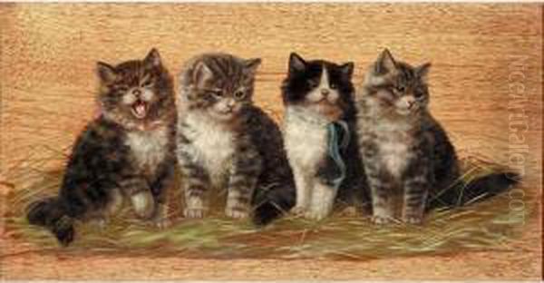 Four Kittens - view 1
