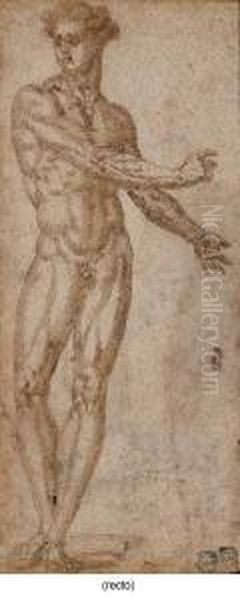 Study Of A Male Nude - view 1