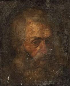 Head Of A Bearded Man Head Of A Bearded Man