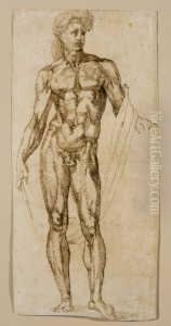 Stehender Herkules. by Baccio Bandinelli