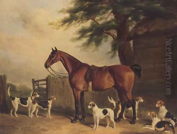A Chestnut hunter with the Badminton Hounds - view 1