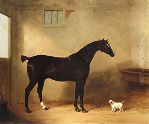 A Bay Hunter and Dog in a Stable - view 1