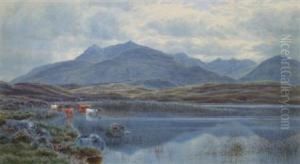 Highland Cattle Crossing A Loch by John James Bannatyne