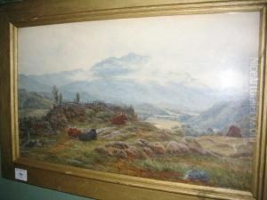 Highland Cattle Resting In A Mountain Landscape